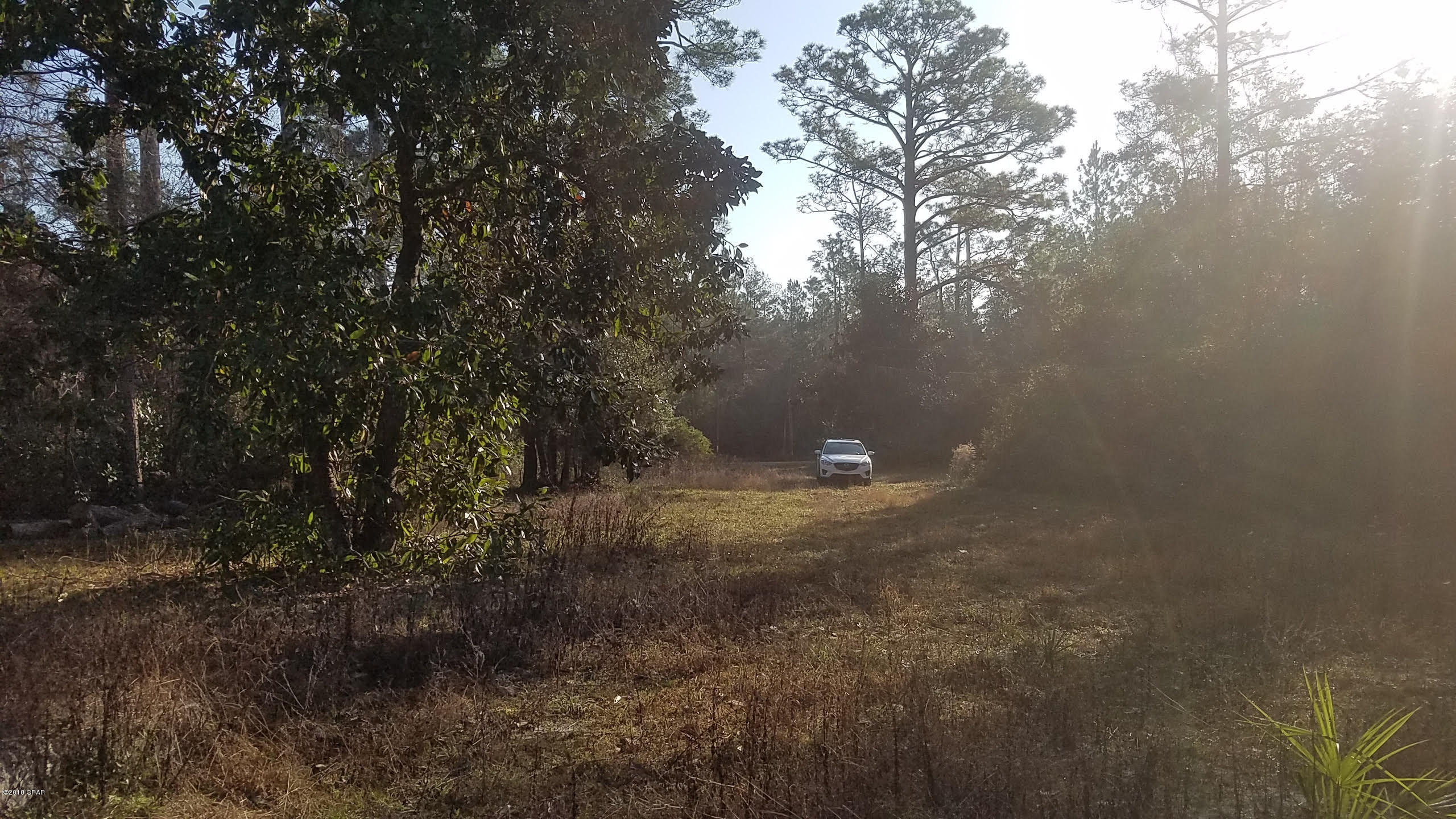 Burnt Mill Creek - Land