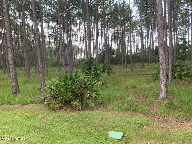 Rivercamps On Crooked Creek Ph 2 - Land