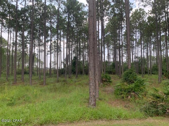 Rivercamps On Crooked Creek Ph 2 - Land