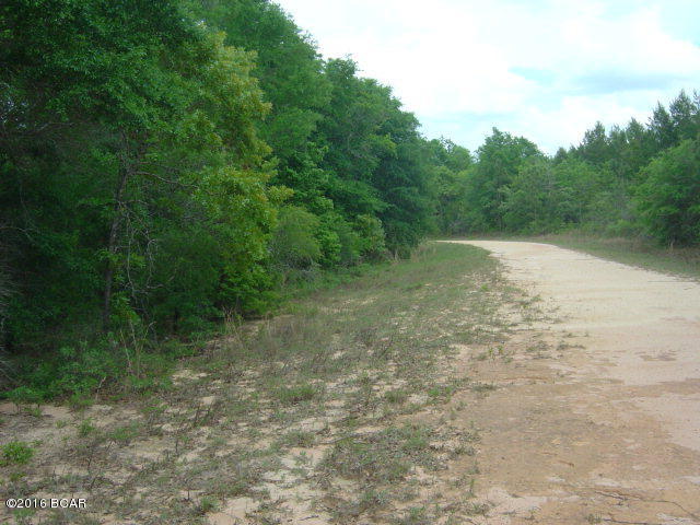Compass Lake In The Hills - Land