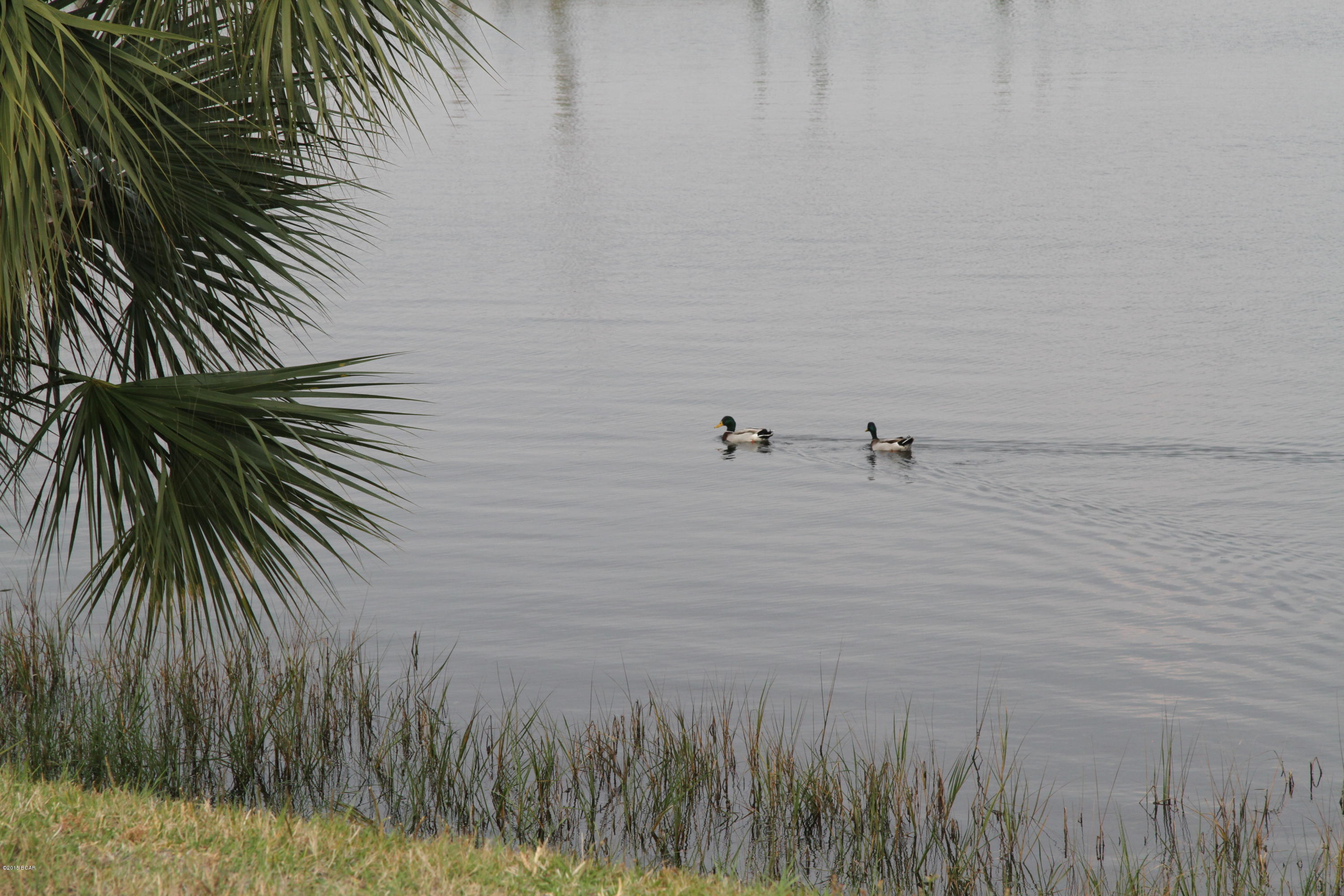 Venture Out - Residential