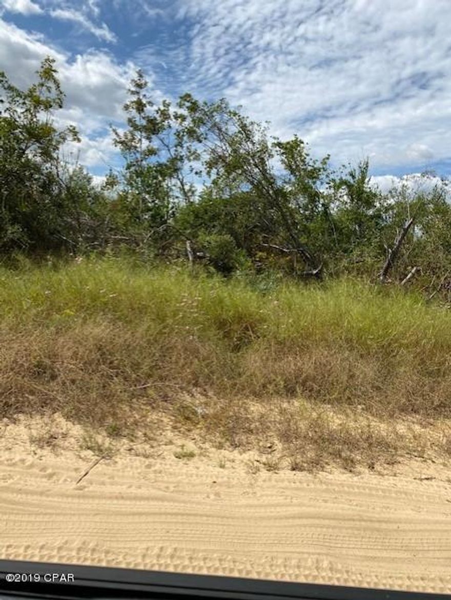 ! acre lot located on a dirt road. Property is great for a new construction or Mobile Home. Horses allowed. Will need septic and well.