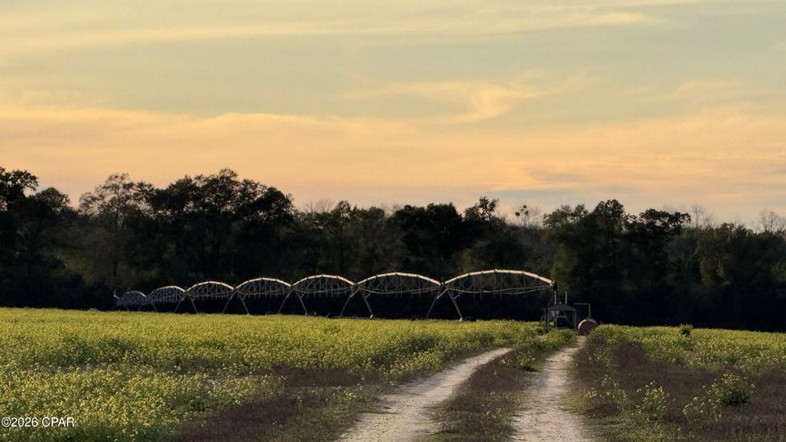 This move in ready farm is beautiful. The home is 33,348 sq ft. There's 135 acres under irrigation with a 12'' well. There's 53 acre of dry row crop land & 65 acres of cattle pasture with rolling hills & beautiful, big Live Oak trees.