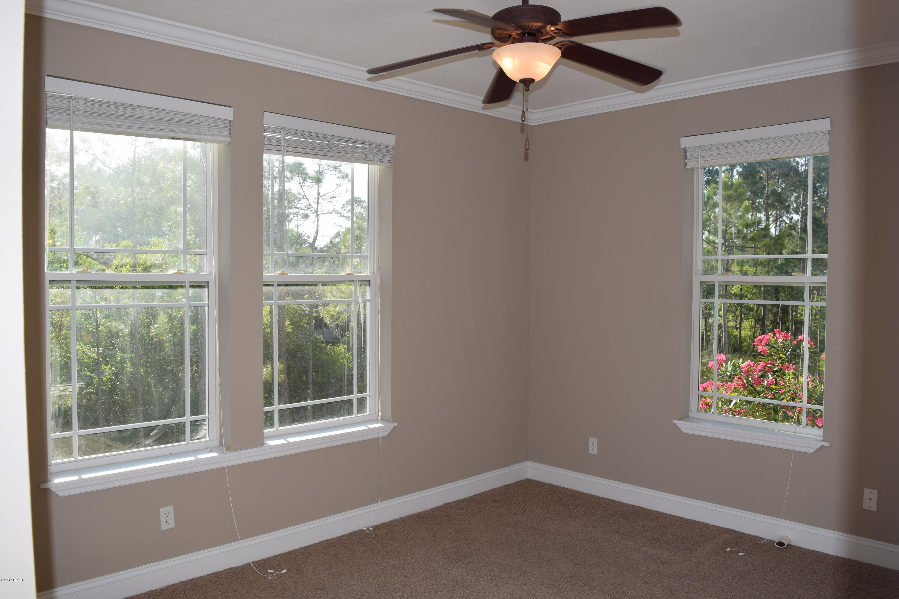 Palmetto Plantation - Residential