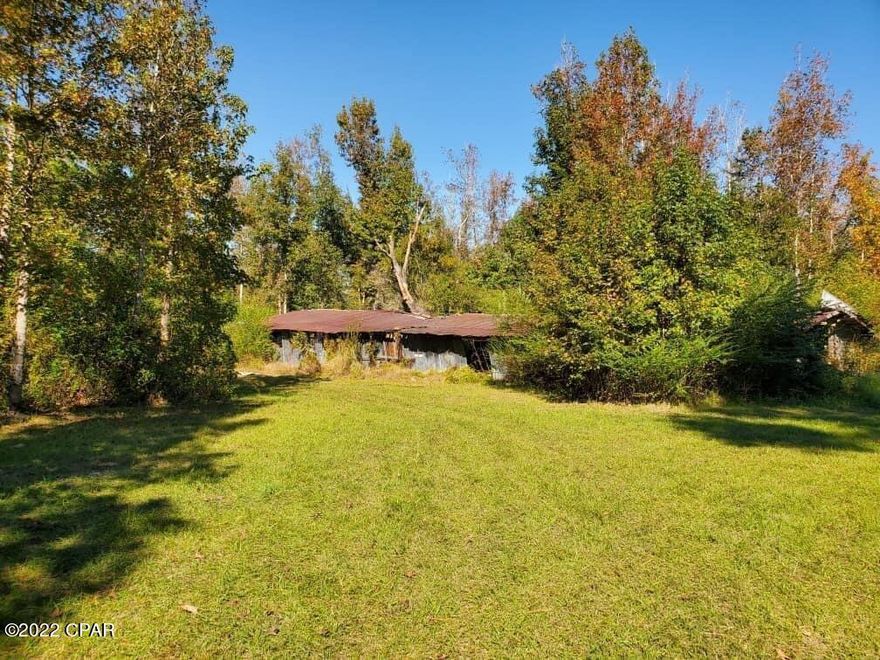 4.75 acres just steps from the Chipola River across from the  Scotts Ferry Landing. The owner believes this could be a great campground/RV park with an artesian well with 6''pipe, 2 septics and 2 power poles.     The property also has a pond and over 700' on a paved road!  Come see this one today !!!!!