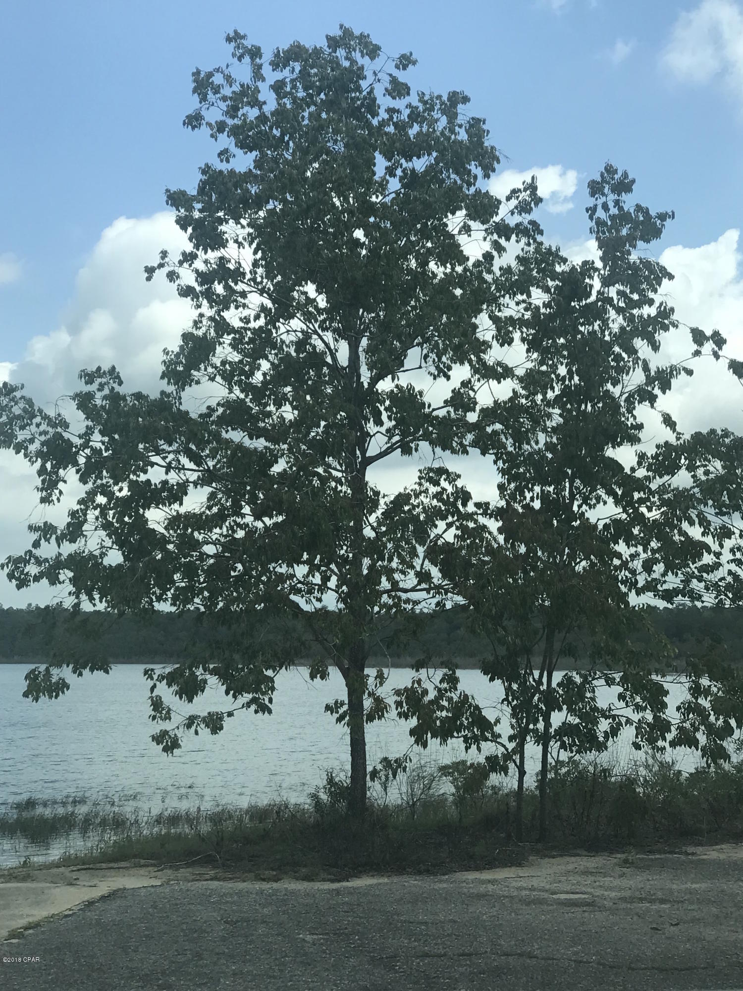 Leisure Lakes 1st Add - Land