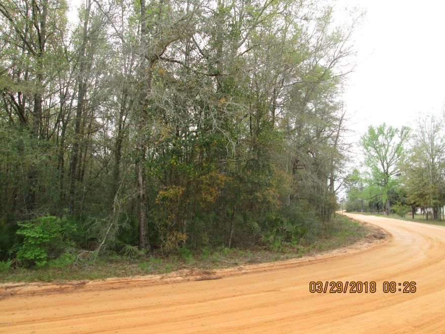 Own a slice of the country! This 2.5 acres will be the beginnings of your future dream home. Owning your own land in the sticks has many more perks than city living. Lower property taxes, no city water/sewer bills, option to have farm animals, and who doesn't love a bonfire with a gathering of family/friends? While this land is a country setting you are still just approx. 5 blocks from Hwy 231.There is another 2.5 acres beside that can be purchased as well. Owner would be open to package deal. All zoning, measurements, sizes are approximate please verify if important