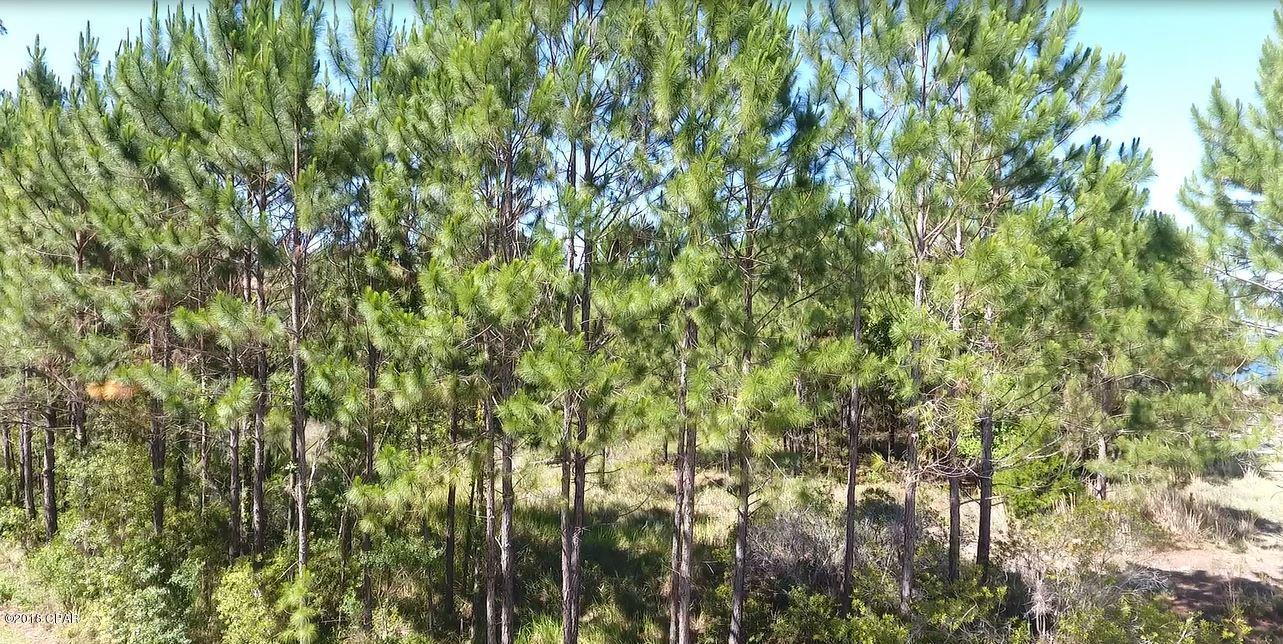 Preserve On The Bay Ph III-B - Land