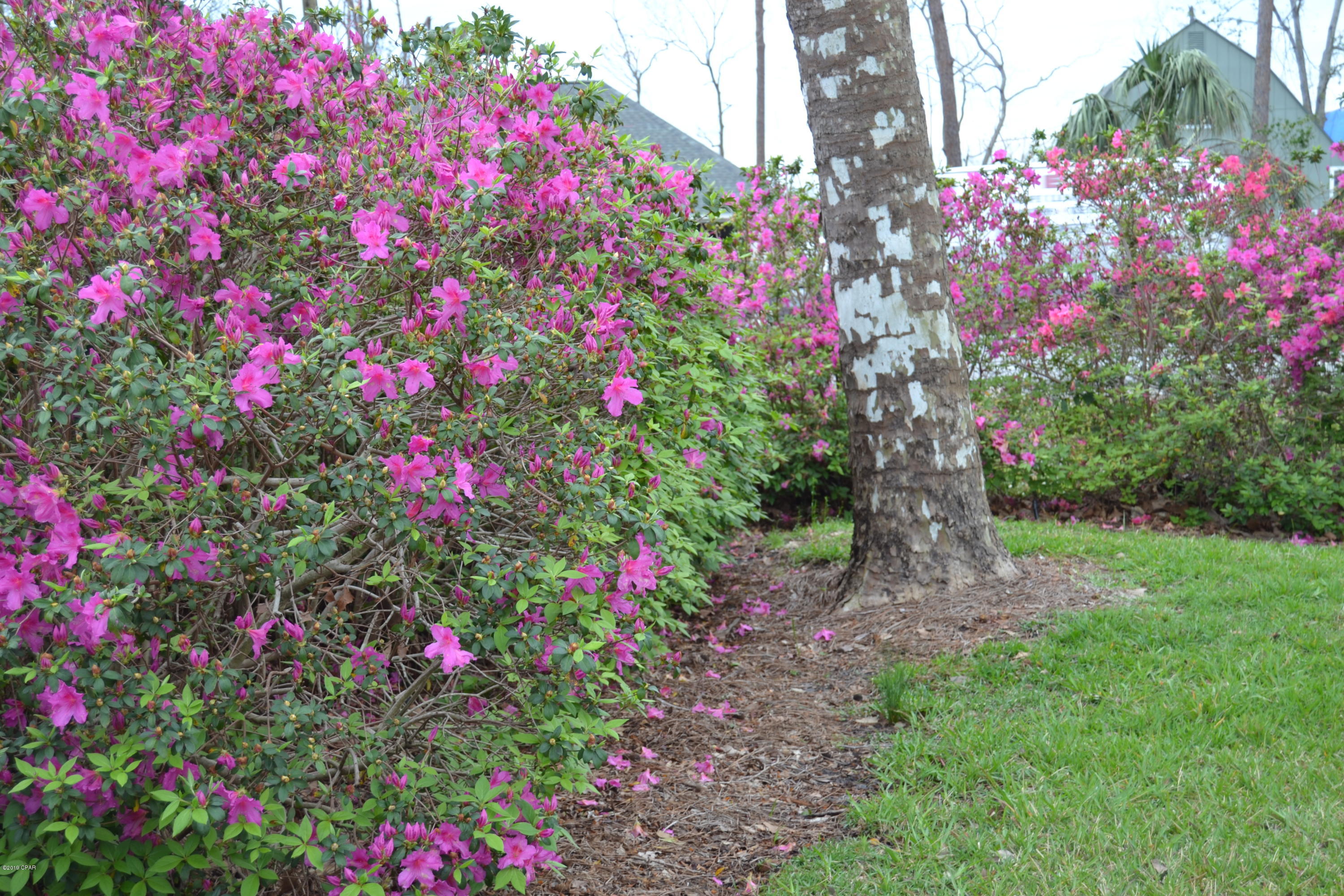 Forest Park Estates - Residential