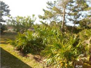 Palmetto Trace Phase 2 - Residential