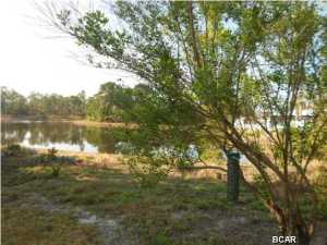 Palmetto Trace Phase 2 - Residential