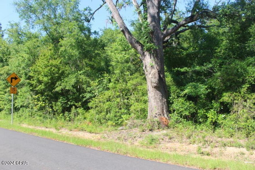 Pippin Mill Creek runs along the north property line of this wooded recreational property.  Short drive to Vernon and 30 min MOL to Panama City to Beaches.