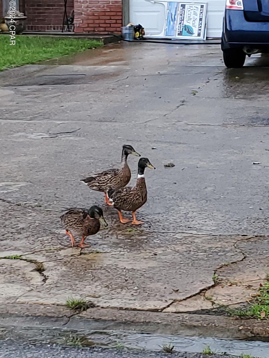 Entered for comp purposes only; was listed by out of MLS area agency