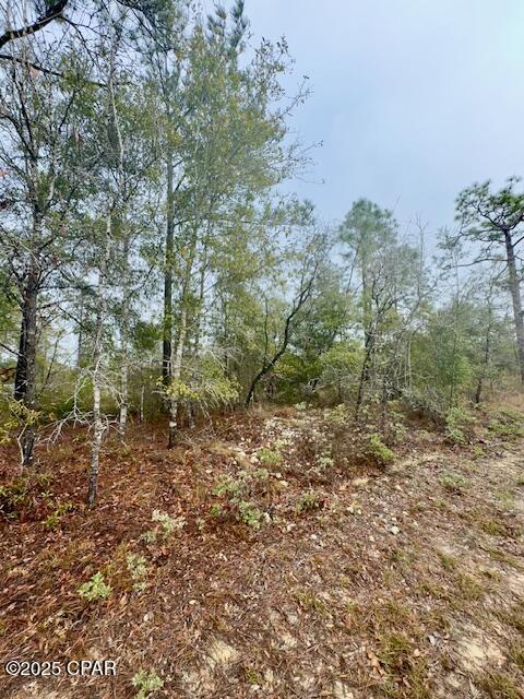 Sunny Hills Unit 6 - Land