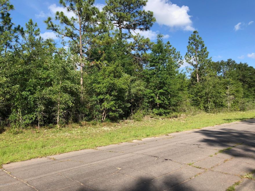 Convenient building lot in Sunny Hills. This lot is less than a half mile off of Highway 77 on a paved road and is not in a flood zone! Sunny Hills is home to the county's first golf course and 26 lakes/ponds, including crystal clear Gap Pond and the well-known Boat Lake. There are 5 boat landings in the community for the fishermen. Sunny Hills is deed restricted, but there is no HOA fee that applies. Enjoy the slower pace of life this area has to offer and significantly lower taxes! Washington County is among the top five counties in the state of Florida that have the lowest property taxes. This lot is only a 20 minute drive from Chipley or Bonifay and about 45 minutes from Panama City Beach. In between there are several gas stations, convenient stores, and mom-and-pop restaurants.