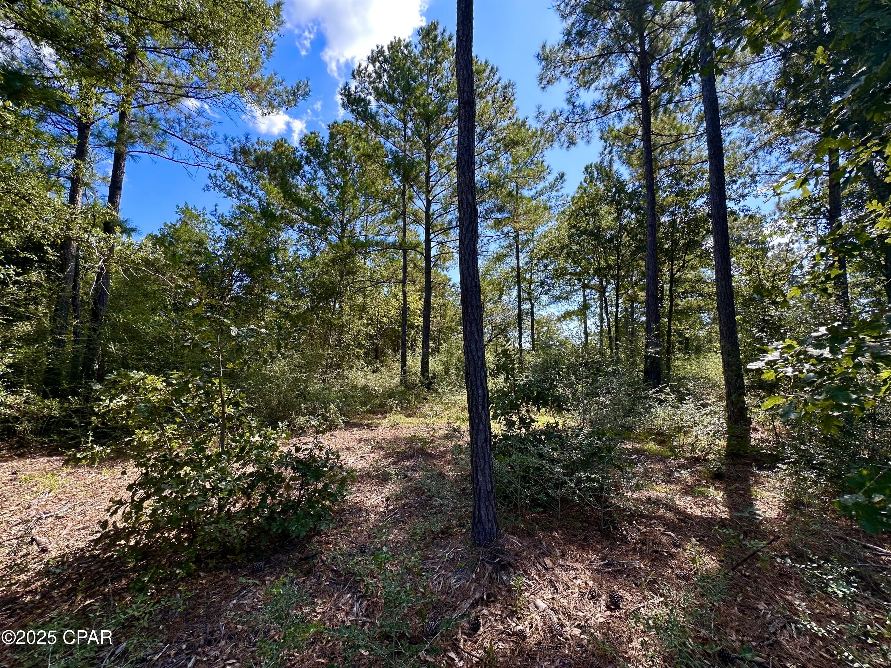 Compass Lake Hills Unit 2 - Land