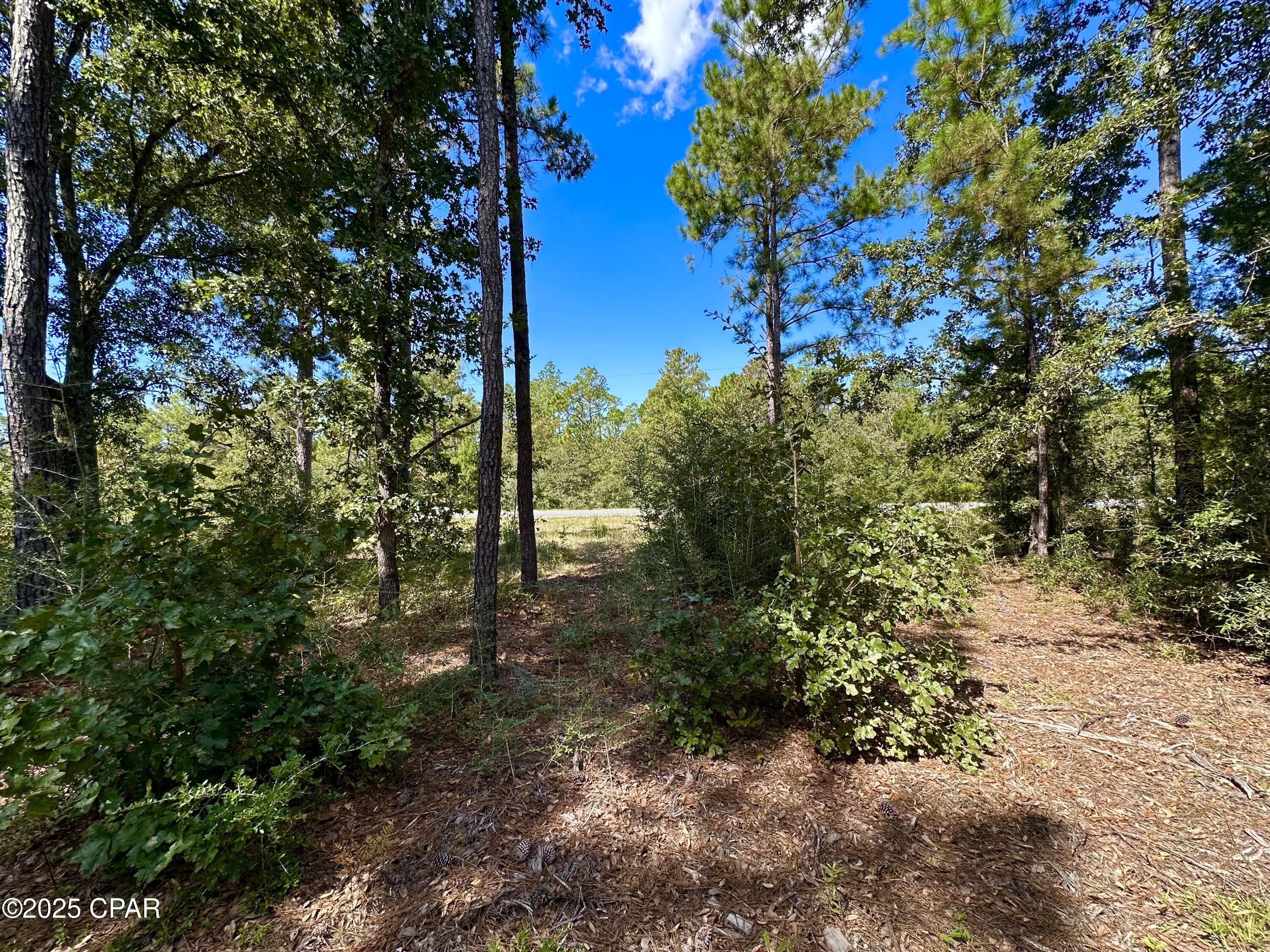 Compass Lake Hills Unit 2 - Land