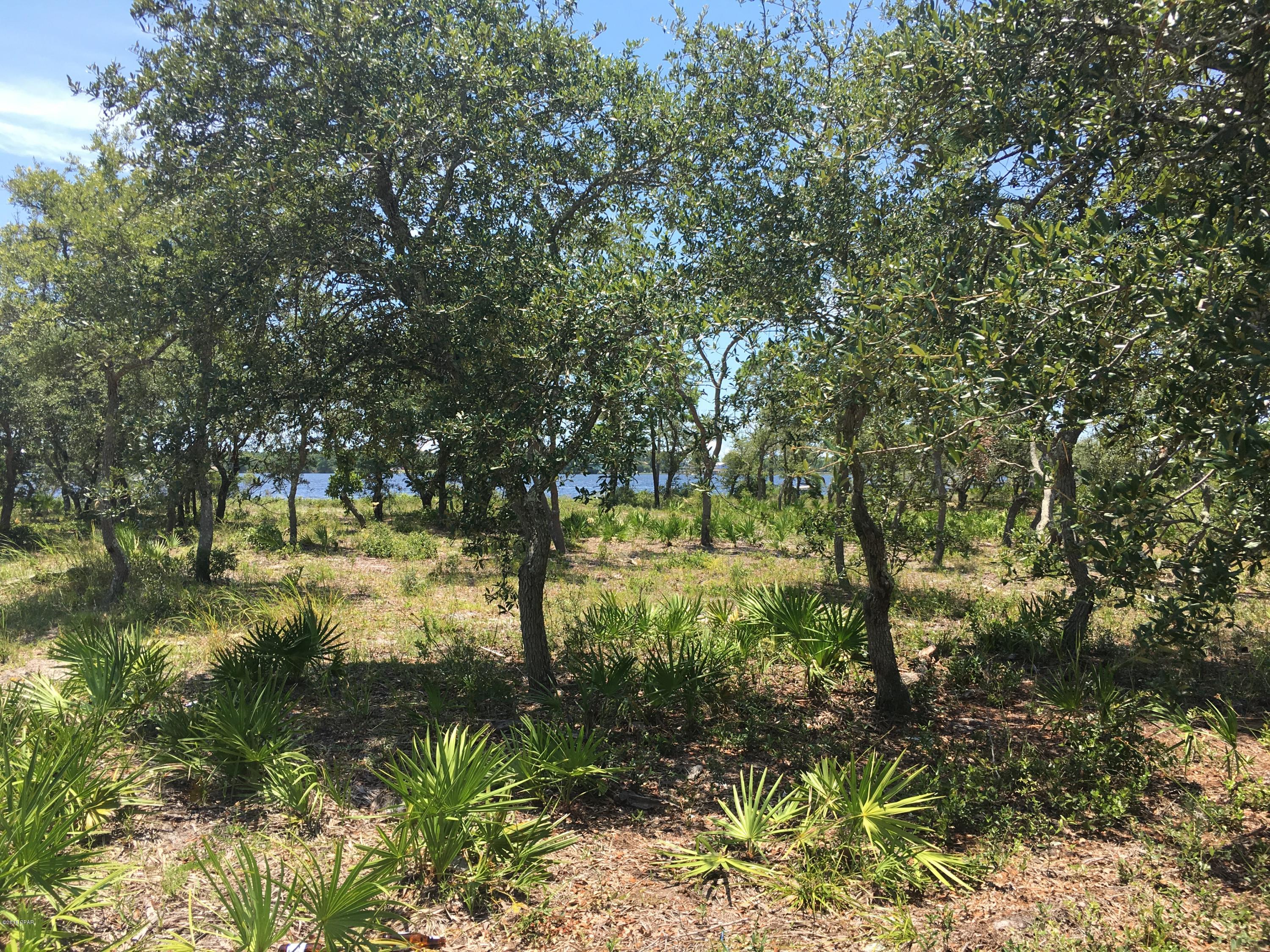 Wild Heron Phase II - Land