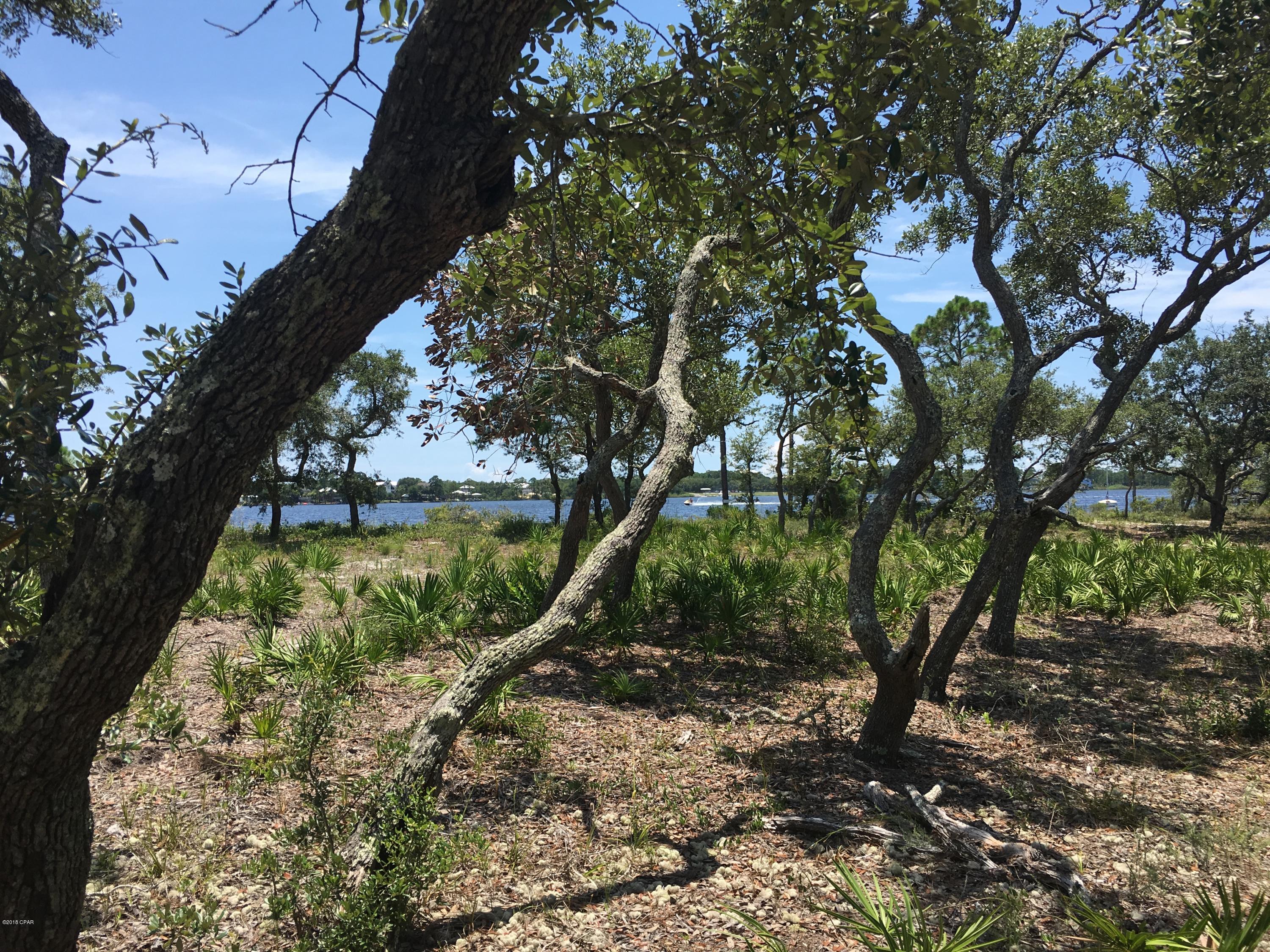 Wild Heron Phase II - Land