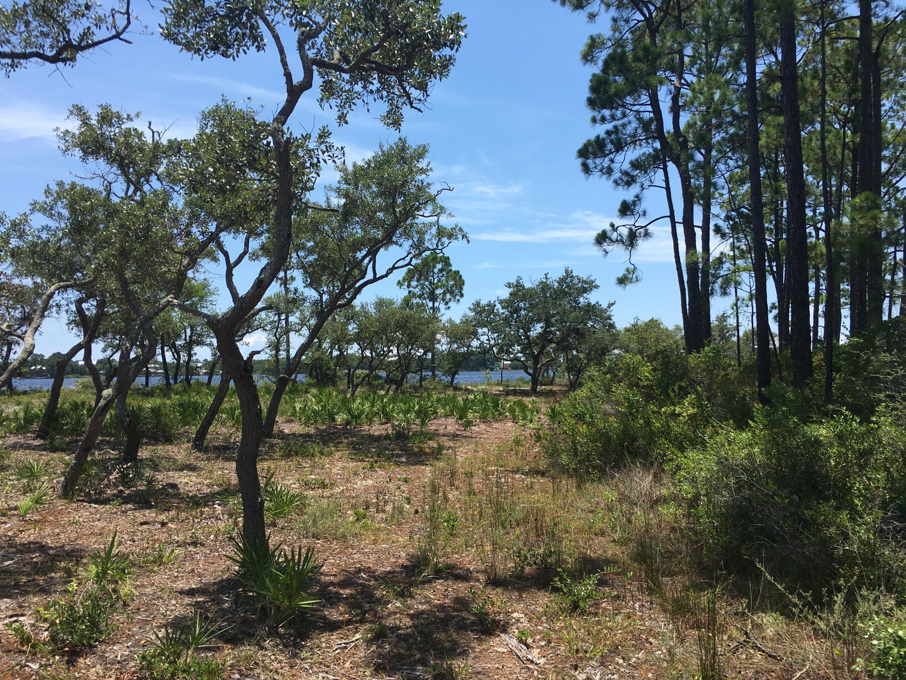 Wild Heron Phase II - Land