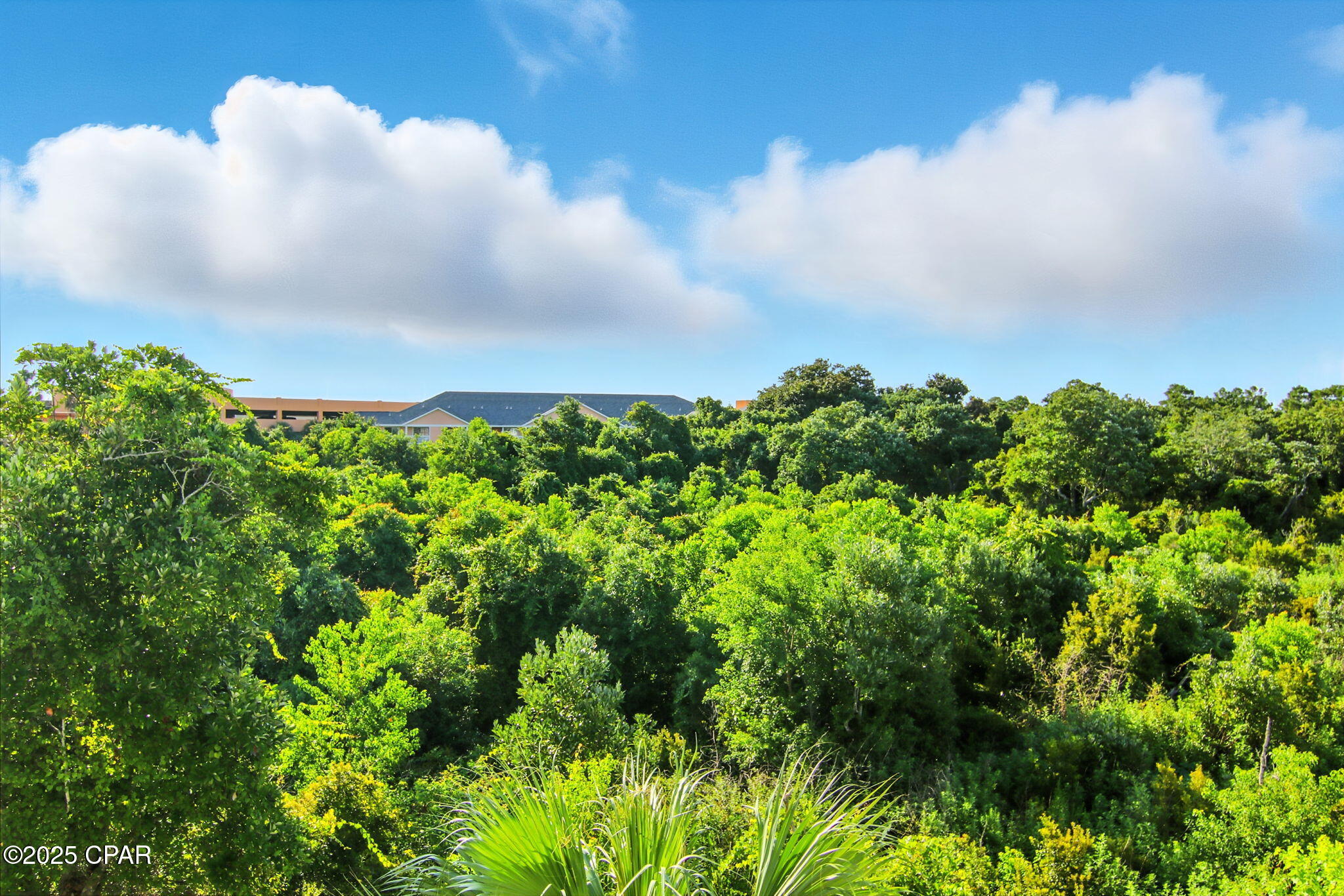 Peachtree Place Phase I - Residential