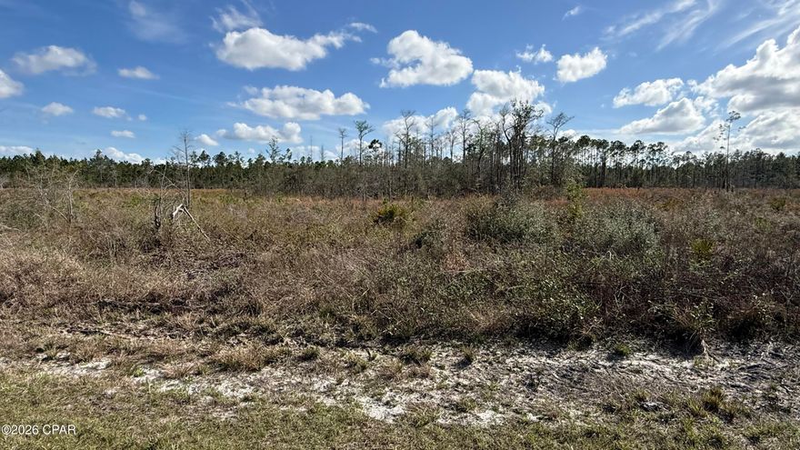 Introducing a prime investment opportunity at Martin Sewell Road, Altha, FL, 32421. This AG-zoned property offers a multitude of possibilities for land and residential development. Whether envisioning a residential community, agricultural endeavor, or private estate, this versatile property offers ample space and potential. Take advantage of the serene surroundings and favorable zoning to create a unique and lucrative venture in this desirable location. With a prime location and diverse potential, this property is poised to fulfill a range of investment objectives.