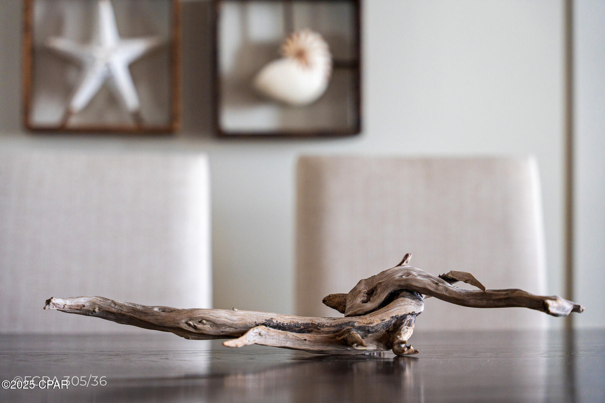 Dolphin Beach - Residential