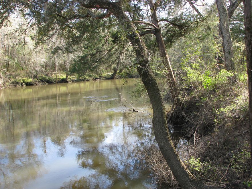 Looking for a getaway spot to spend your summers? Great recreational lot on the Chipola River ready for building. 97 feet of frontage on Chipola River. Enjoy the view or launch your canoe. Great part of the river with beautiful pristine springs in some sloughs close by. Property is located just outside of town and convenient to I-10, shopping, and dining. Public boat ramp is within minutes by truck and boat.