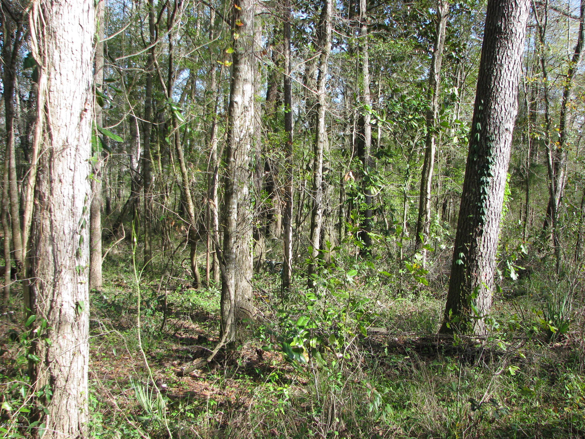 [No Recorded Subdiv] - Land