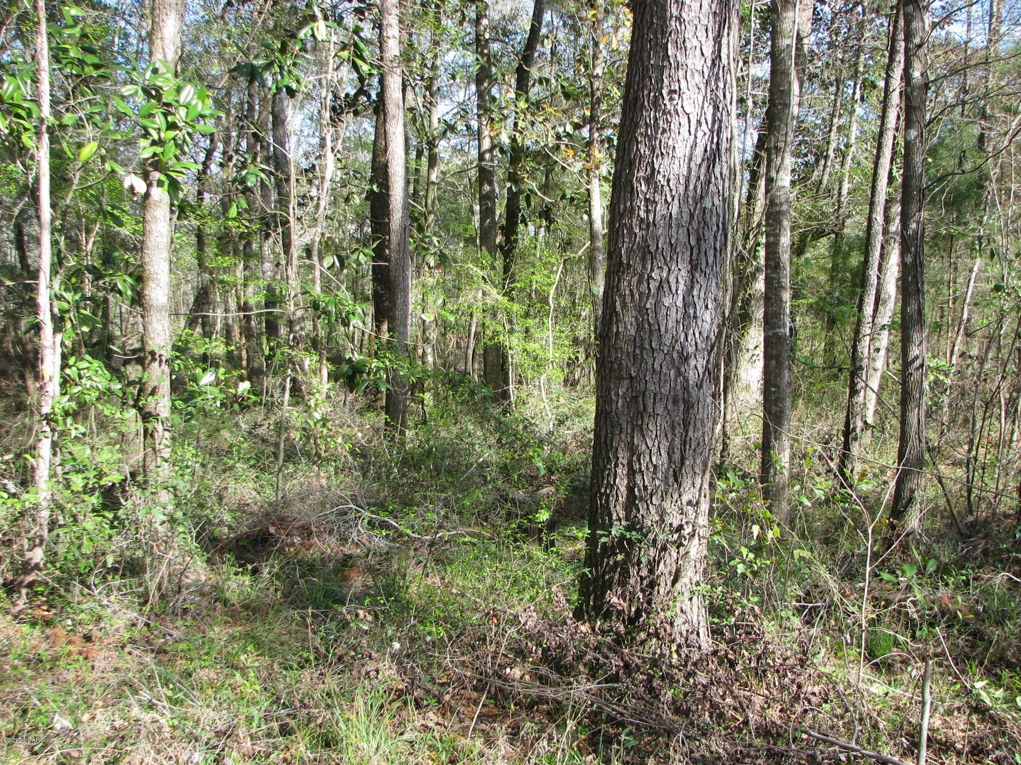 [No Recorded Subdiv] - Land