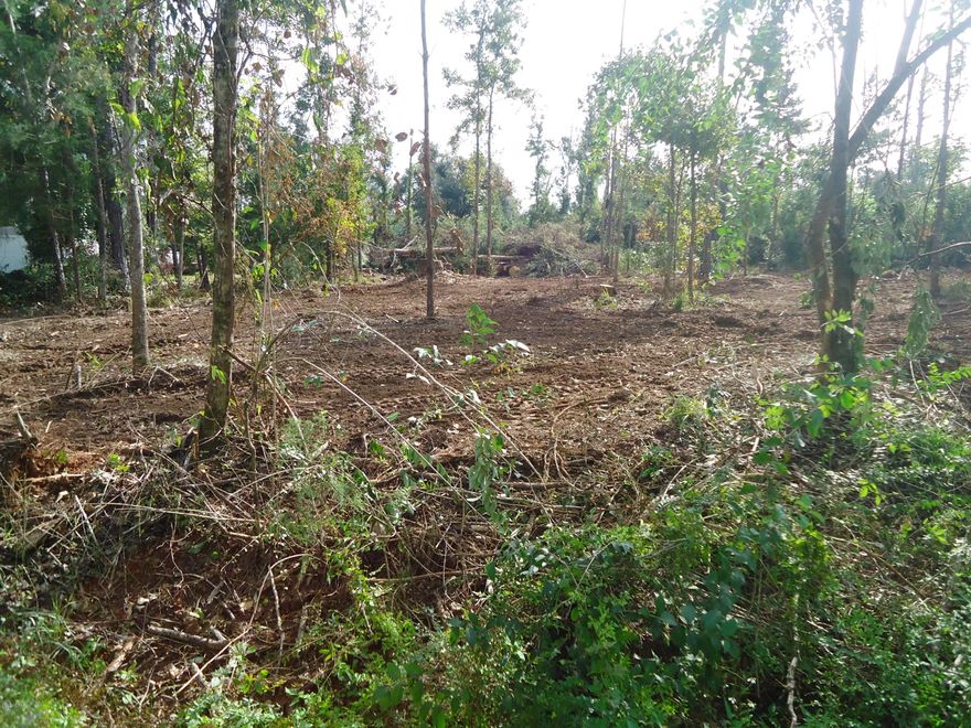 Nice recently cleared lot on a paved road just out of town with access to city water with a $750 Hook up fee.