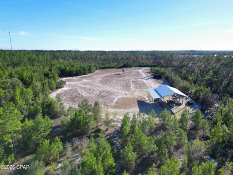 16078 NW Longbranch Street Bristol FL 32321