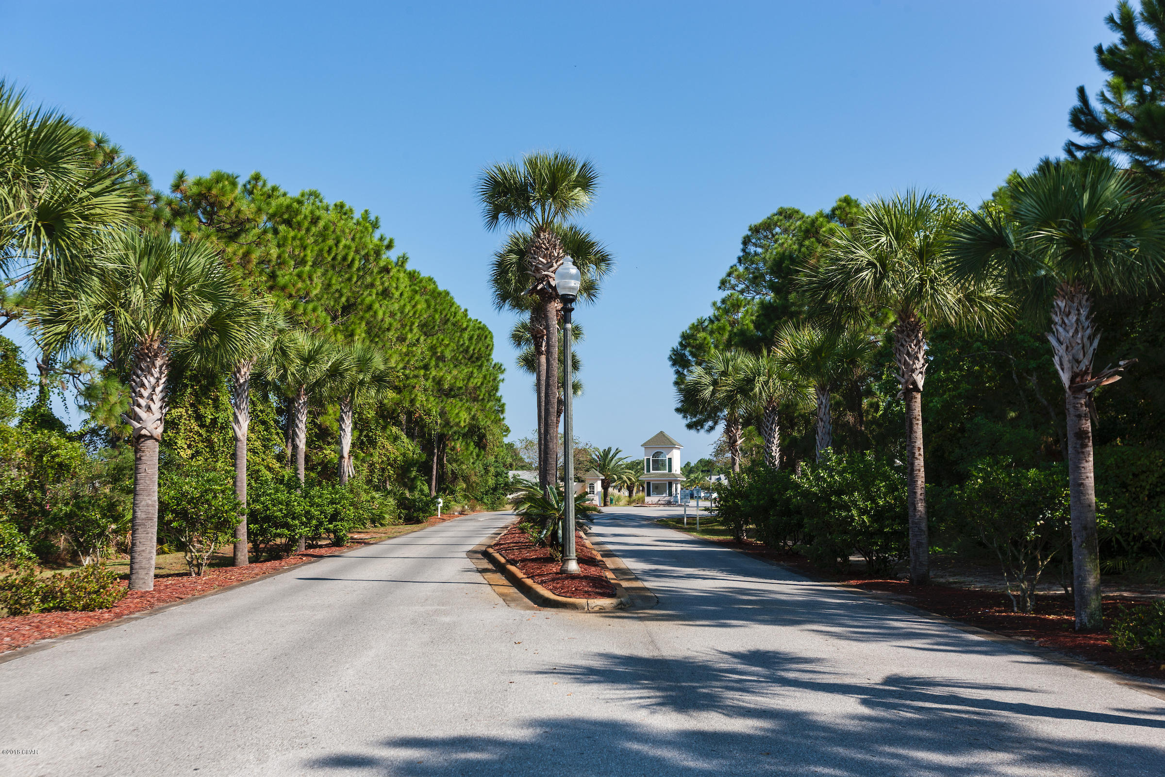 Palm Cove - Residential