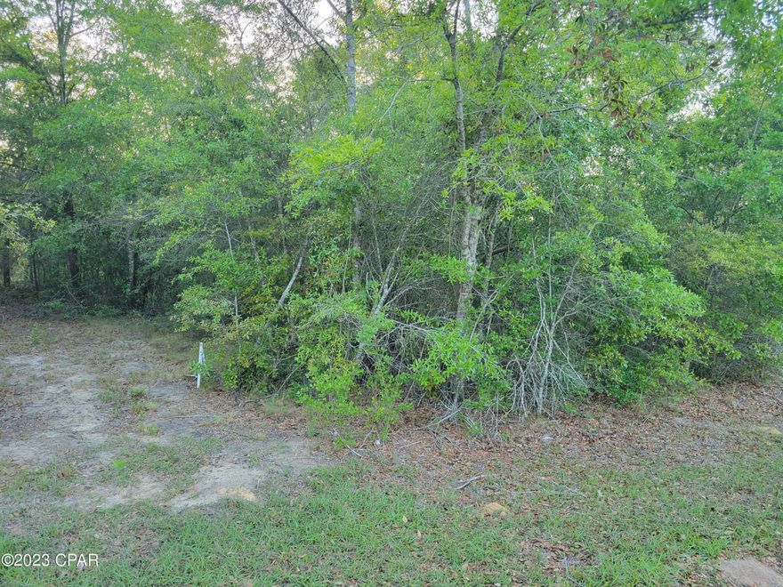 'CURRENTLY UNDER CONTRACT, SELLER WILL CONSIDER BACKUP OFFERS'Almost 3 acres, this flat lot in the security gated subdivision could be the site of your new home. There is a mix of hardwood and pine trees. Live gate guards are on duty weekdays, and property owners have a unique code for entry when guards are not present. The subdivision offers activities such as swimming, concrete boat launches at both lakes, crystal clear water, fishing, kayaking, boating, basketball court, tennis court, toddler playground, grill stations, picnic tables and more. All this and yet only about 45 minutes from the World's Most Beautiful Beaches.