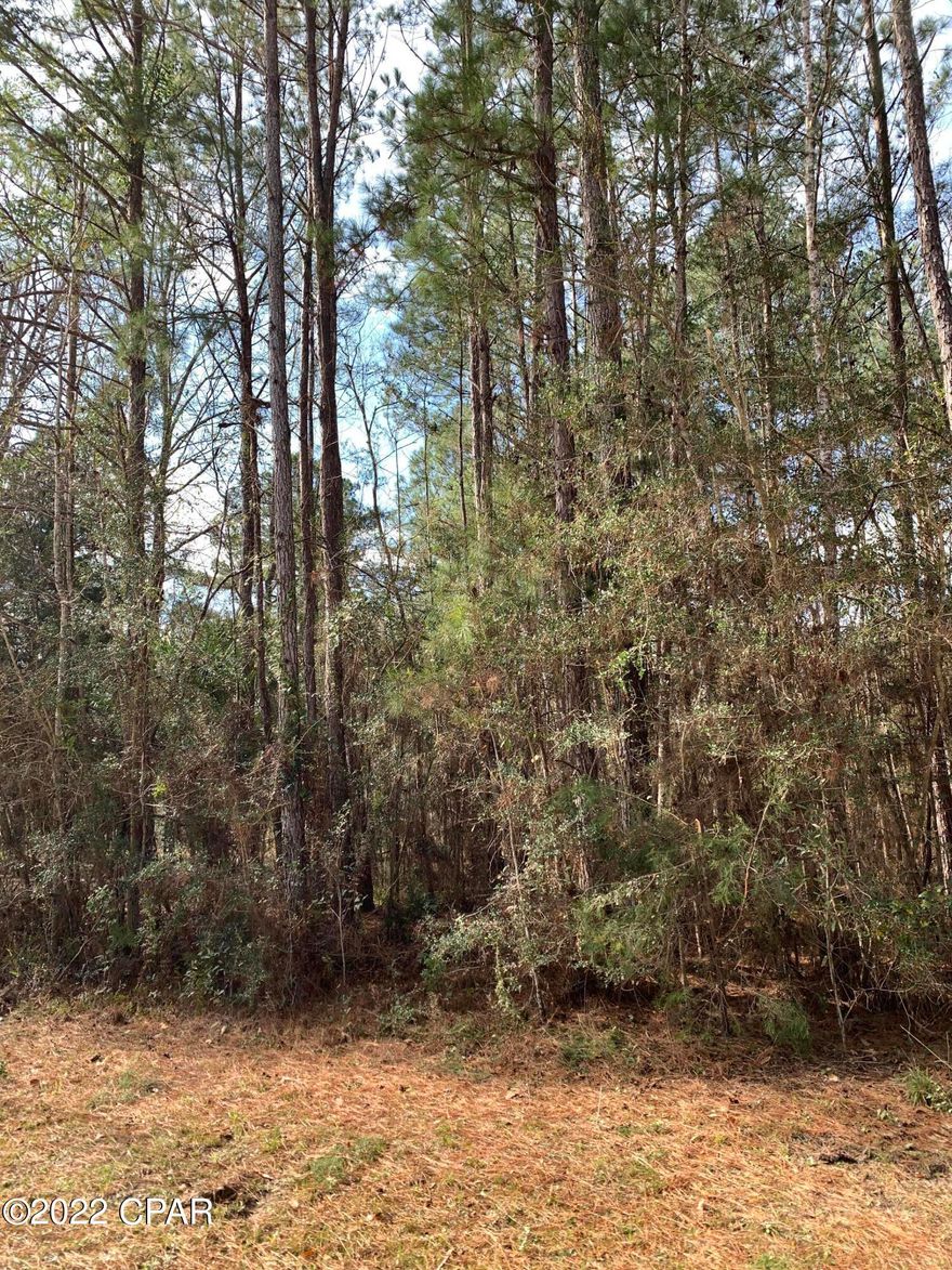 Fishing retreat!  Bring your RV and fishing pole and get ready to fish the Choctawhatchee River.  This can be your own private get away only half mile to public boat landing.  Since it is so near the river, it is in a flood zone.  Most residences in this area are RV's which allow owners to pull them out if there is ever any imminent danger of flooding.  

Water system available.  There are two lots available on same road but not adjacent to each other.  Both are priced the same.