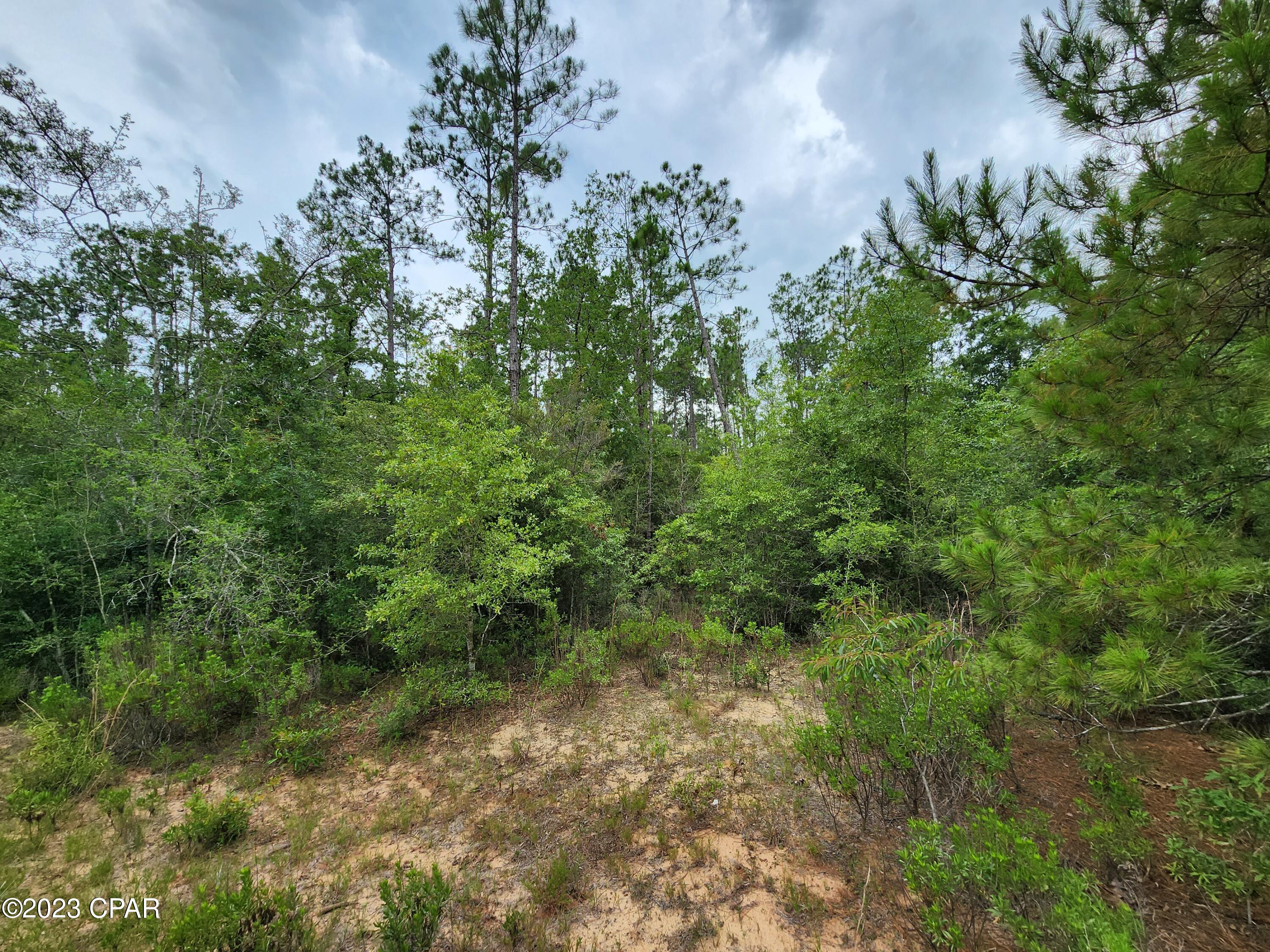 Compass Lake Hills Unit 4 - Land