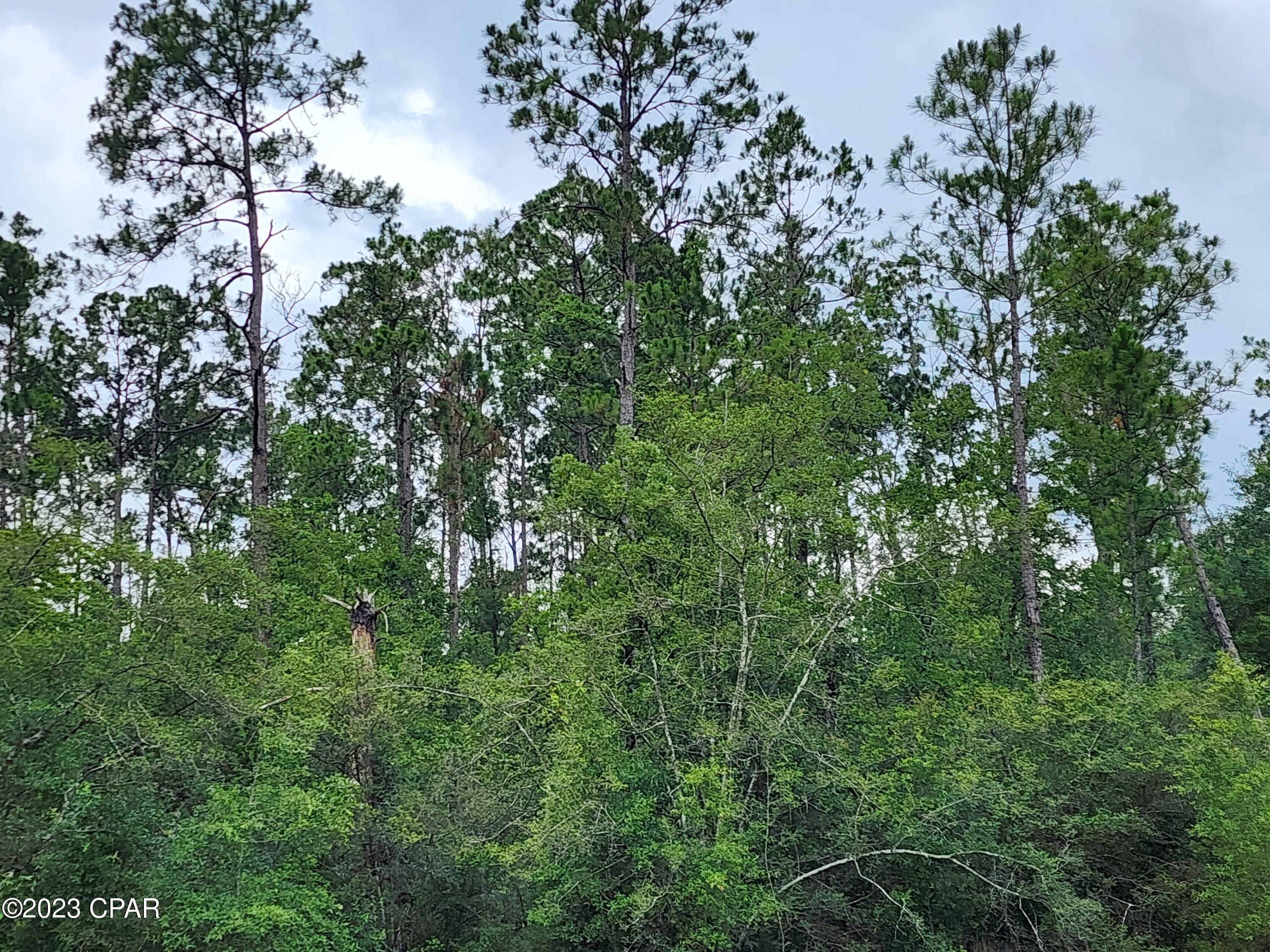 Compass Lake Hills Unit 4 - Land