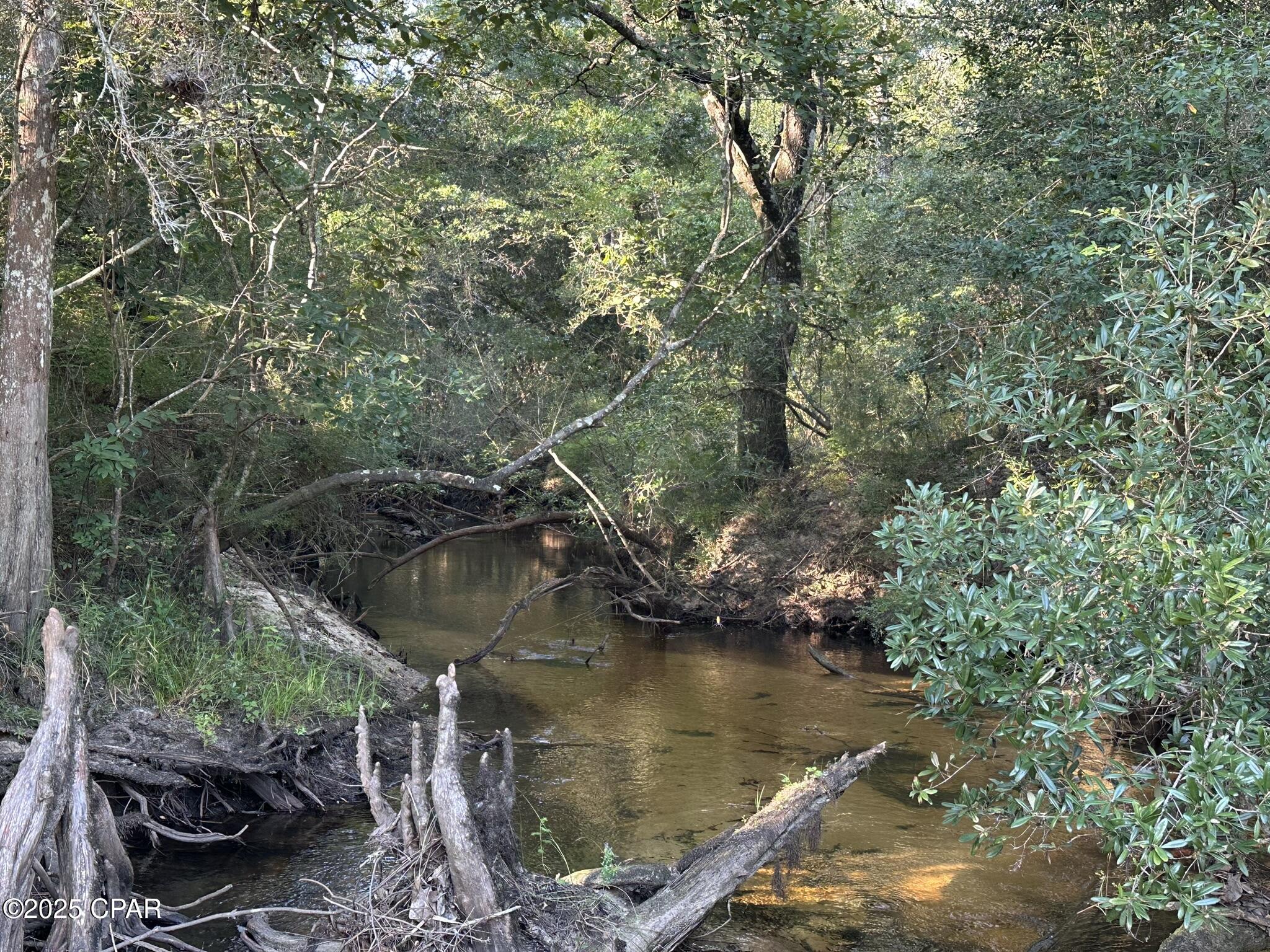 Tract#6201 Doyle Morgan Road