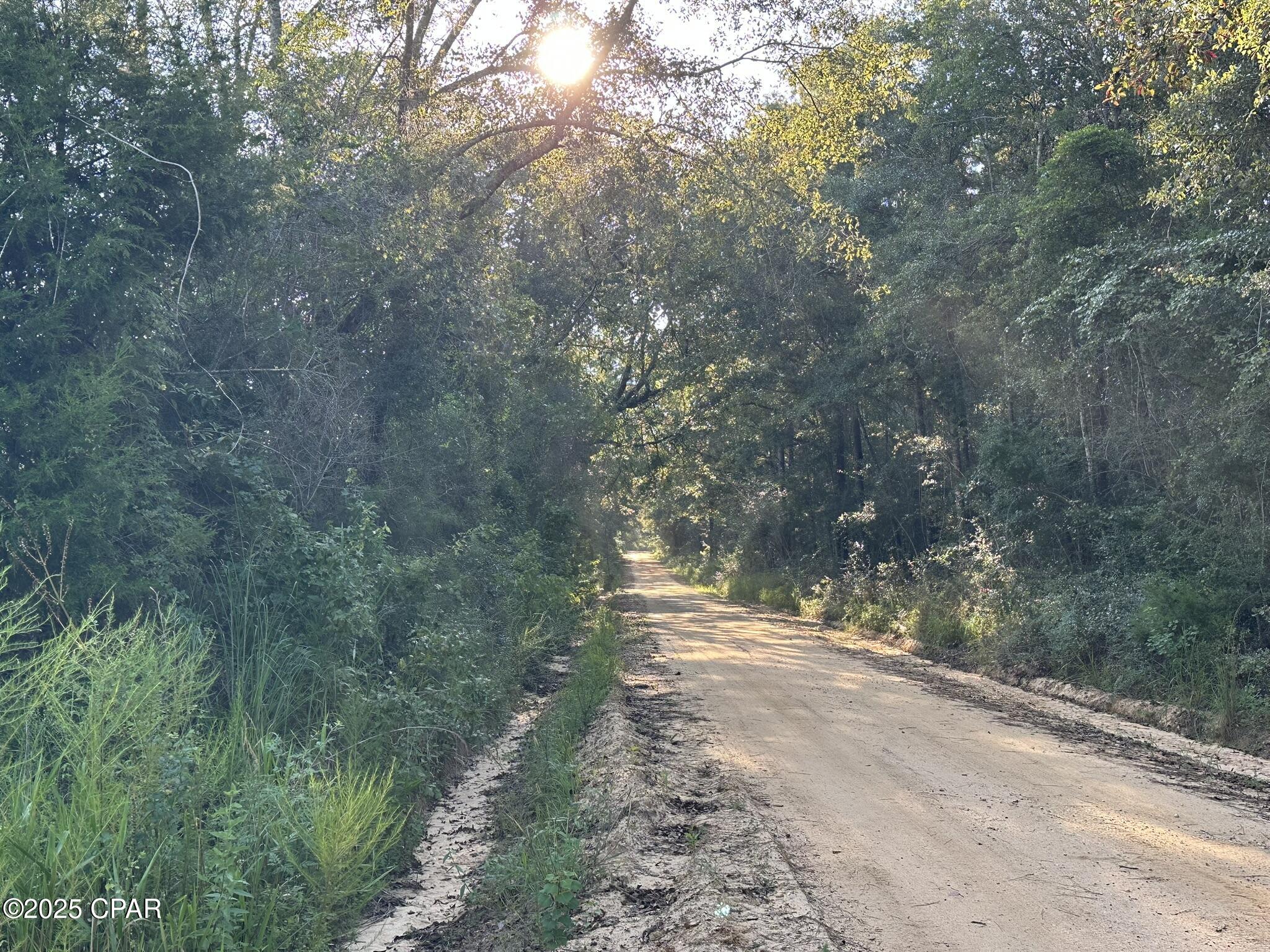 Tract#6201 Doyle Morgan Road