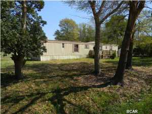 St A Bay Pecan & Fig Grove - Residential