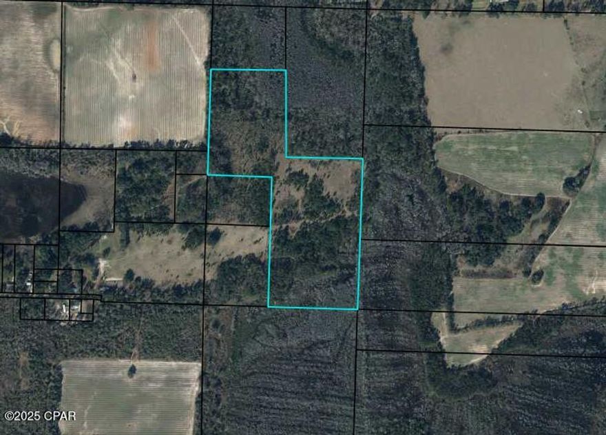 Nearly 39 acres of beautiful wooded land available in Marianna, Florida. This property offers a private, country setting and is ideal for building a new home or placing a mobile home. The land is covered with timber that may have potential for harvesting and sale. With plenty of space and natural surroundings, this is a great opportunity for those looking for privacy, investment potential, or a peaceful homestead.