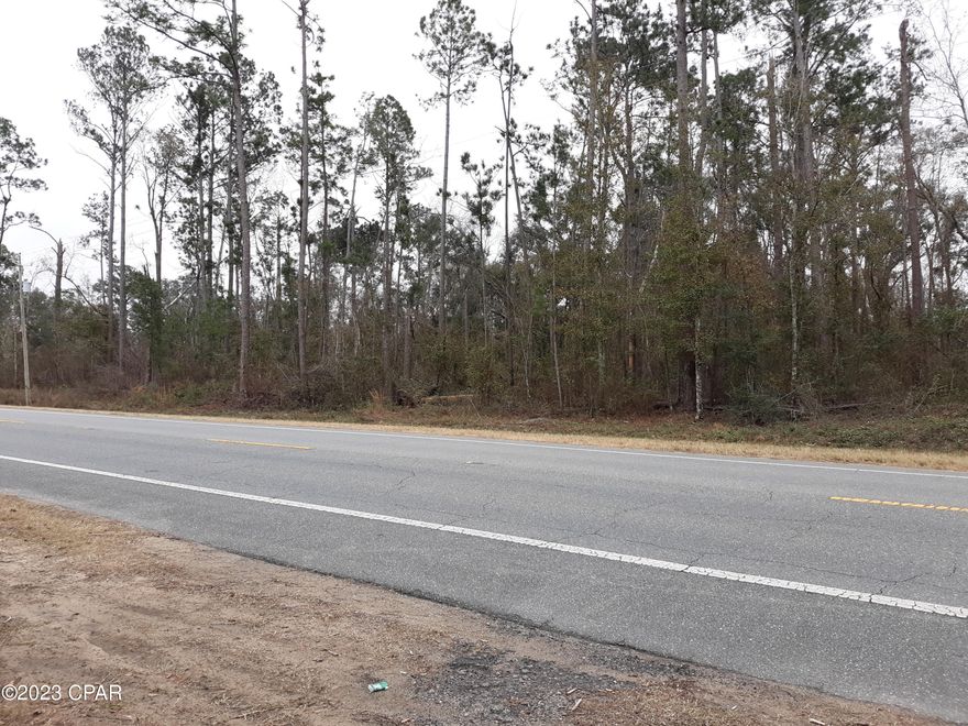 Great place to build a home or use for hunting or fishing camp. Wooded land right  on Hwy 379 south, of Bristol, Fl
that has Fed gov land on the north side as well as the back of the property, which backs up to the Kennedy Creek area.
Property has lots of trees and timber pines on it.