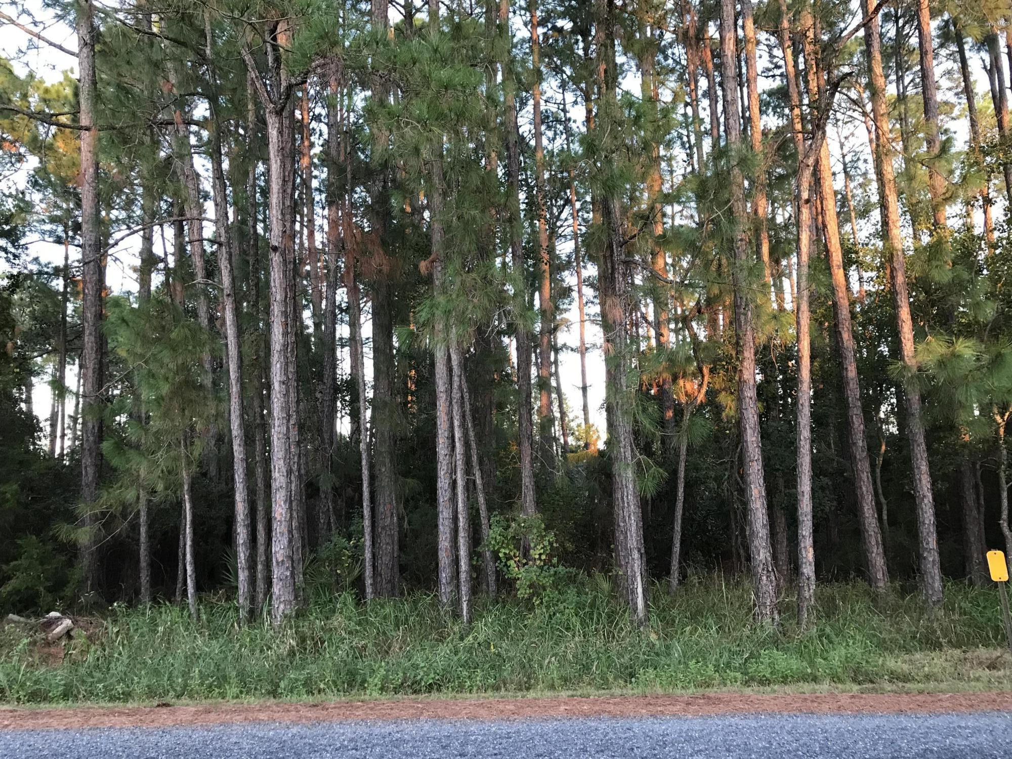 Inlet Beach Heights - Land