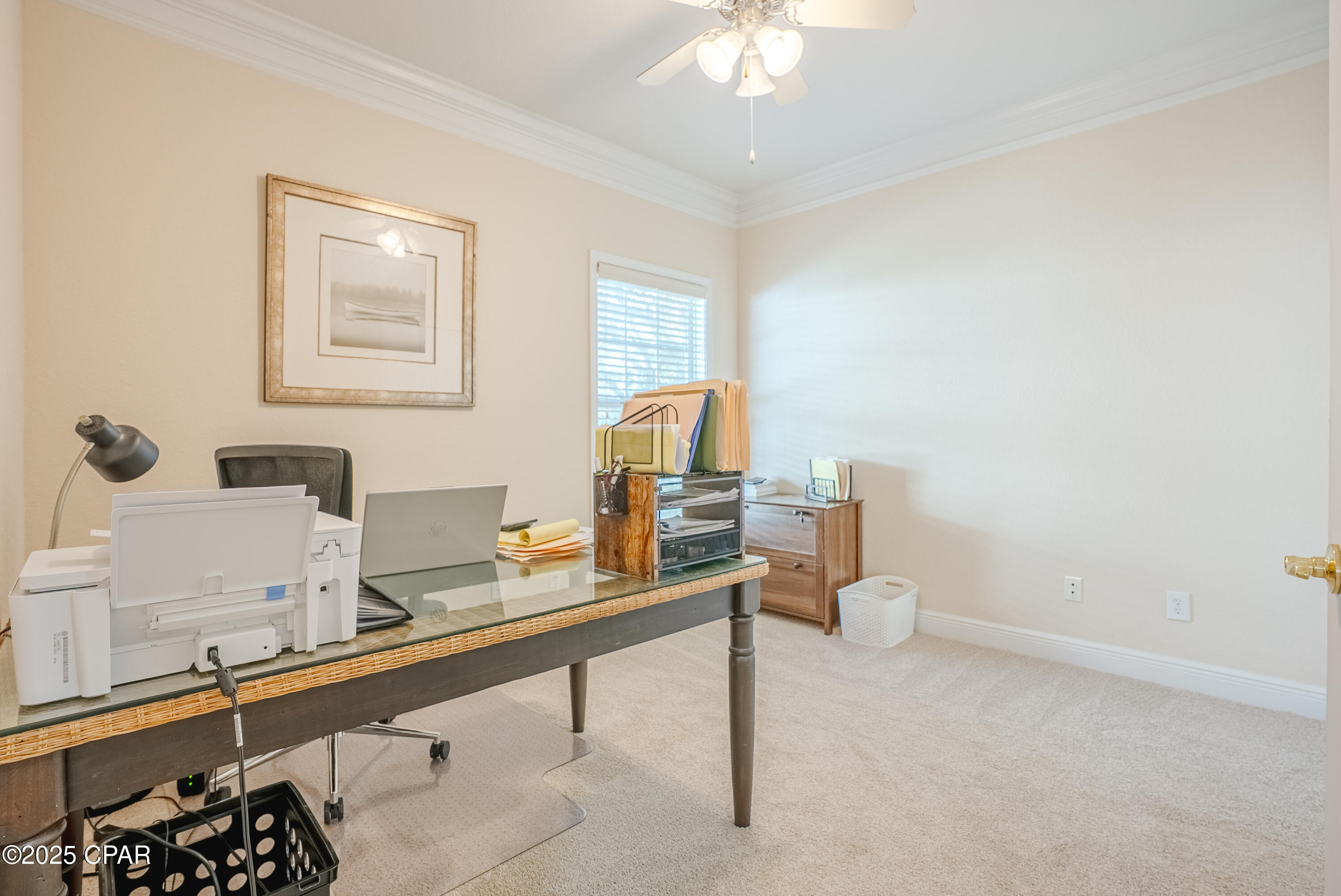 Palmetto Trace - Residential