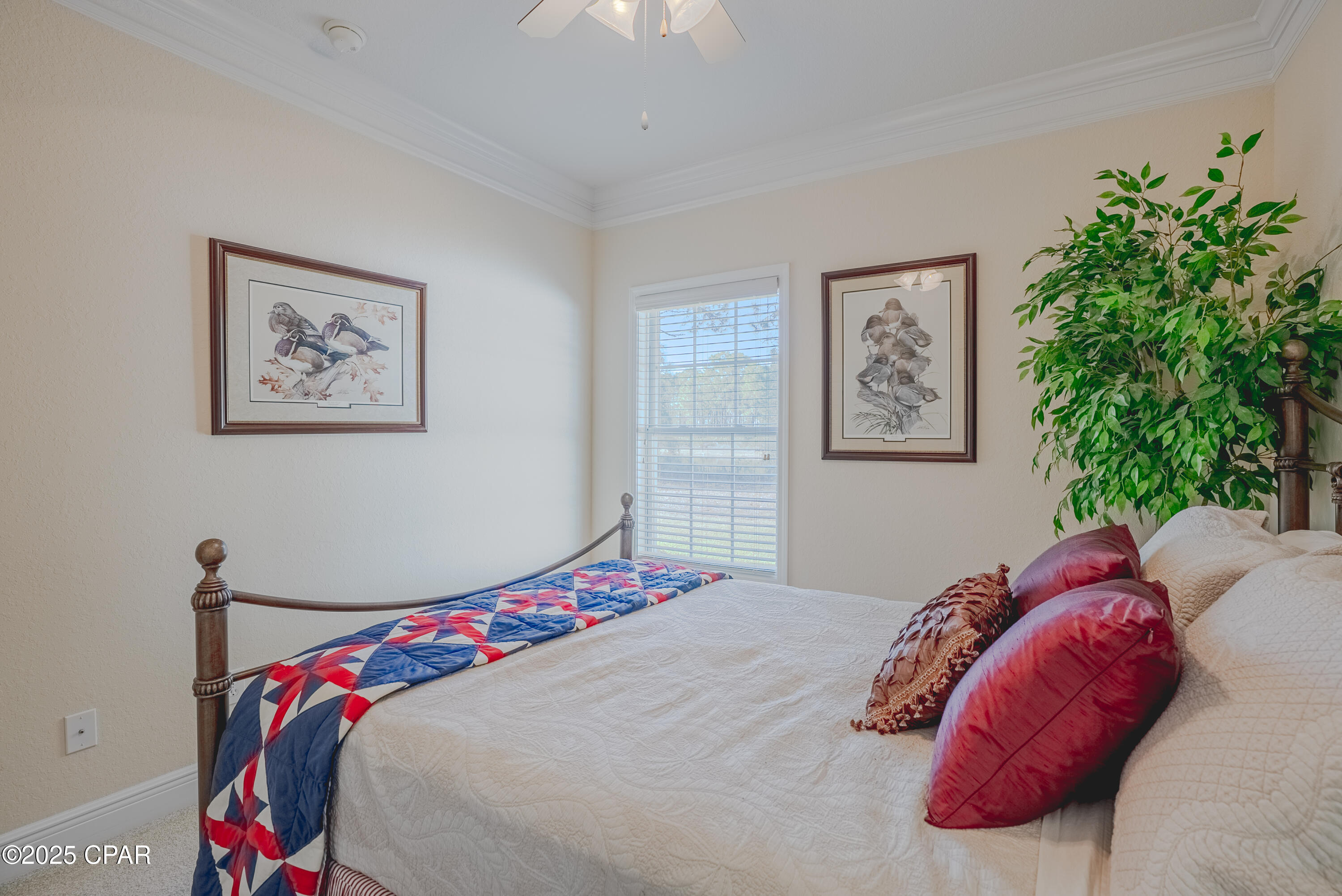 Palmetto Trace - Residential