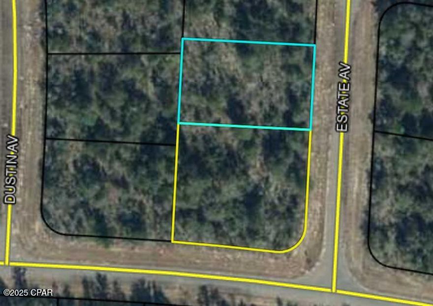 CORNER LOT! OVER HALF AN ACRE! 2 adjacent parcels! Time to join the happening party in Sunny Hills, FL! Build the home you've been dreaming about. Why wait any longer? Not sure if you can find land this awesome anywhere else for this amazing low price. Seeking privacy? You got it. Are you a golfer? You got that, too. I've heard Sunny Hills Golf Course is one of the most desirable around, not to mention, in part, because of their low fees. On the days you're not playing golf and wish to break free from your private sanctuary for a few hours, Sunny Hills offers Boat Lake Swimming & Recreation Park, with a great beach, concession, and playground, as well as Wilder Skate Park, playground, and pavilion, library, and plenty of fishing lakes. From Sunny Hills, you are only minutes away from some of the world's best fishing, hunting, and so many cold recreational springs. You'll be 30 min. from the airport and just 45 to popular Pier Park, with its endless restaurants, theater, and shops. Don't forget our endless white-sand beaches and green Emerald Coast waters. Living in Sunny Hills, you'll have access to and be surrounded by the best of all Florida has to offer. Check out this lot RIGHT NOW! Make your offer before values rise further. Many believe they most definitely will.