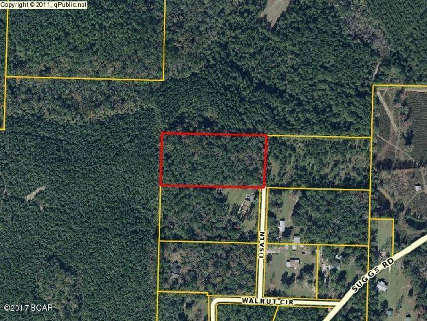 Wooded country setting with this 5 acre tract to build your dream home or put a mobile home. No restrictions, mobile homes and horses ok.