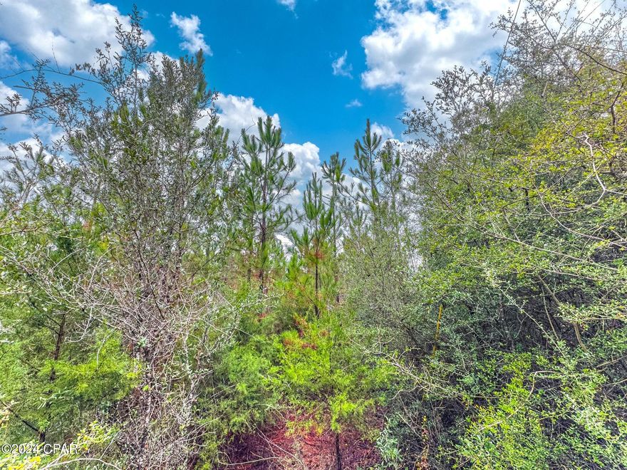 Dream Location for Country Living or Hunters Paradise either way you won't want to miss this opportunity! This Beautiful 42.49 +/- Acres of prime land with older pines maybe 2-3 years replanted on a dirt rd with power available! . Use caution as it is hunting season! Bring your build plans, hunting gear, Horses and ATVS LOCATION LOCATION!!!! This Property has Easy Access to Panama City Beaches I-10, Hwy 79, Hwy 81, and Hwy 90.DEED RESTRICTIONS. SEE DOCUMENTS
