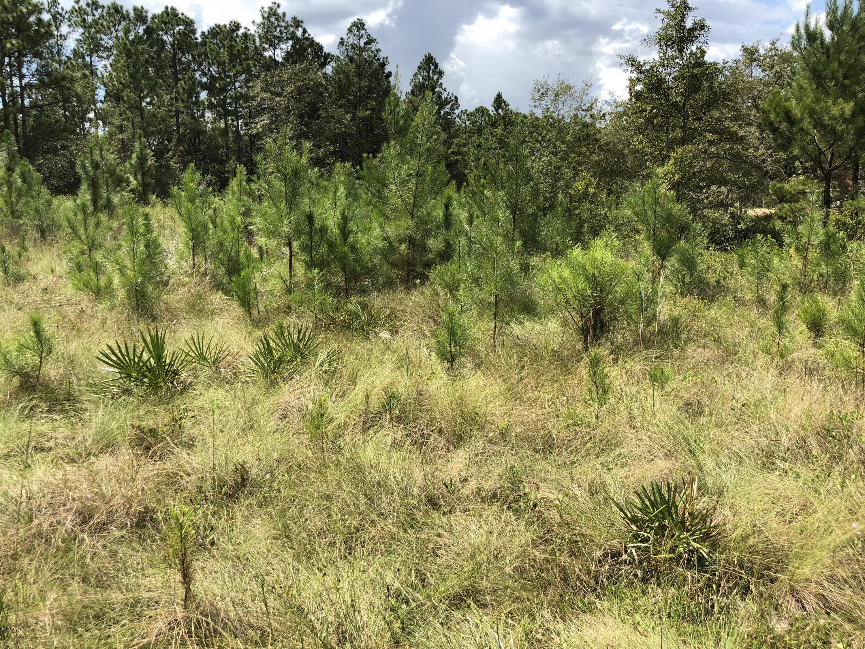 [No Recorded Subdiv] - Land