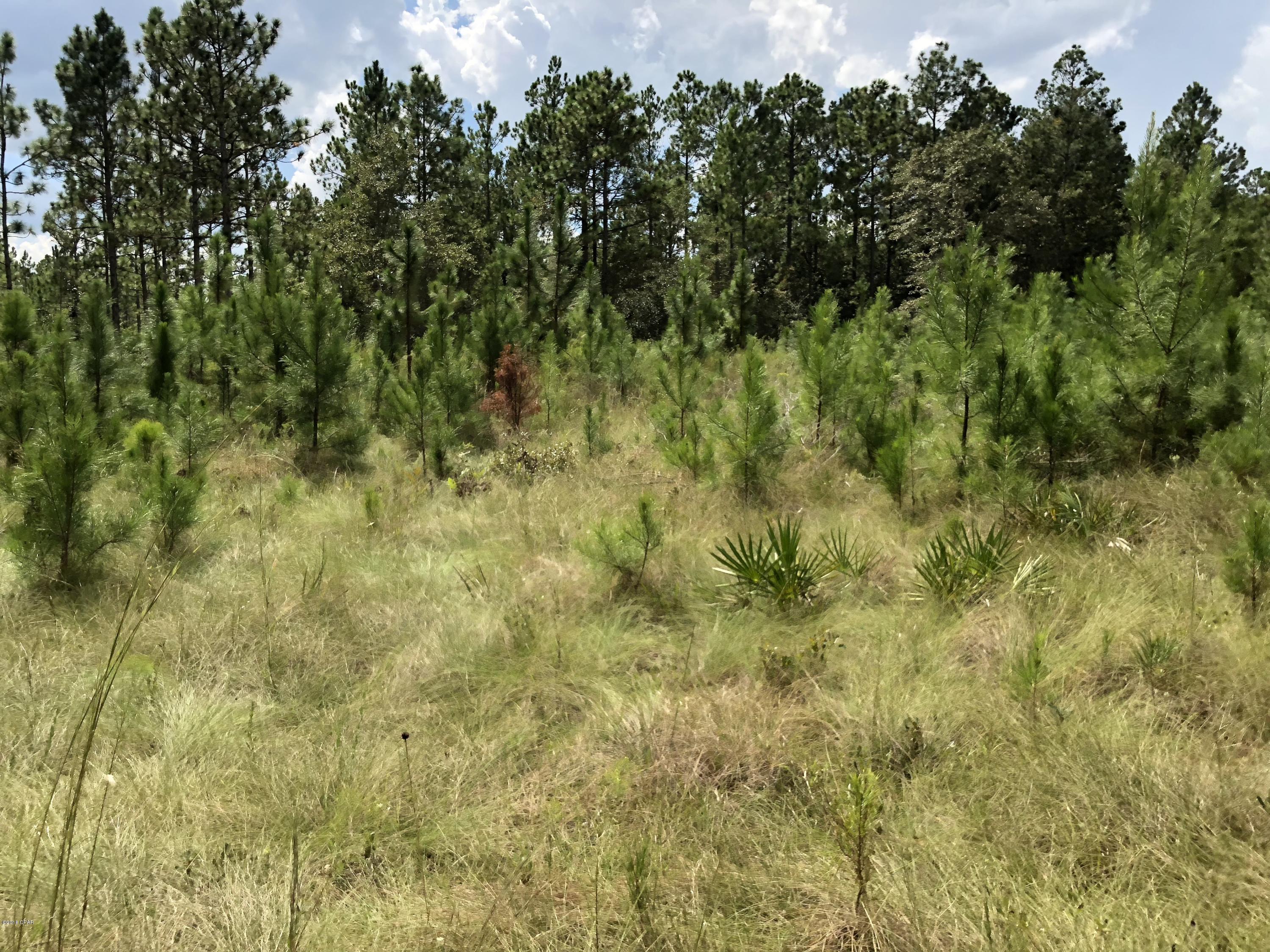 [No Recorded Subdiv] - Land